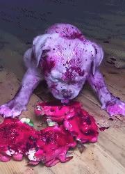 搞笑版的小萝莉,搞笑gif段子妹子你太皮了