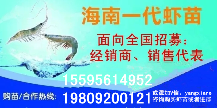 厉害！这个百万养虾大户，被评为全县淡水养殖状元！