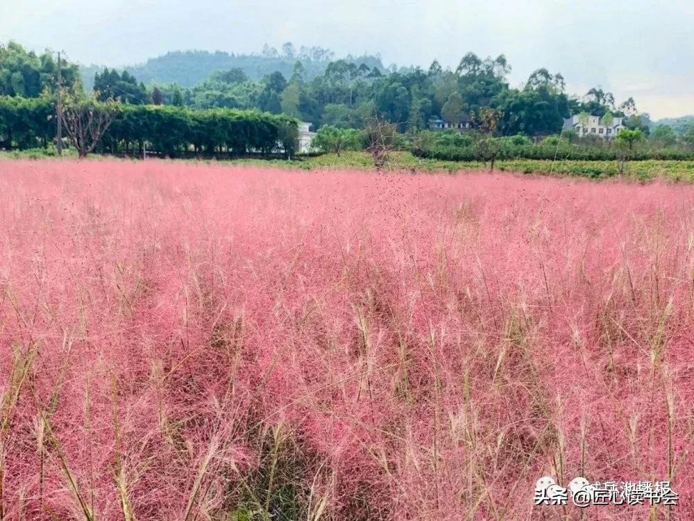我的家乡广安市岳池县,岳池我的家乡