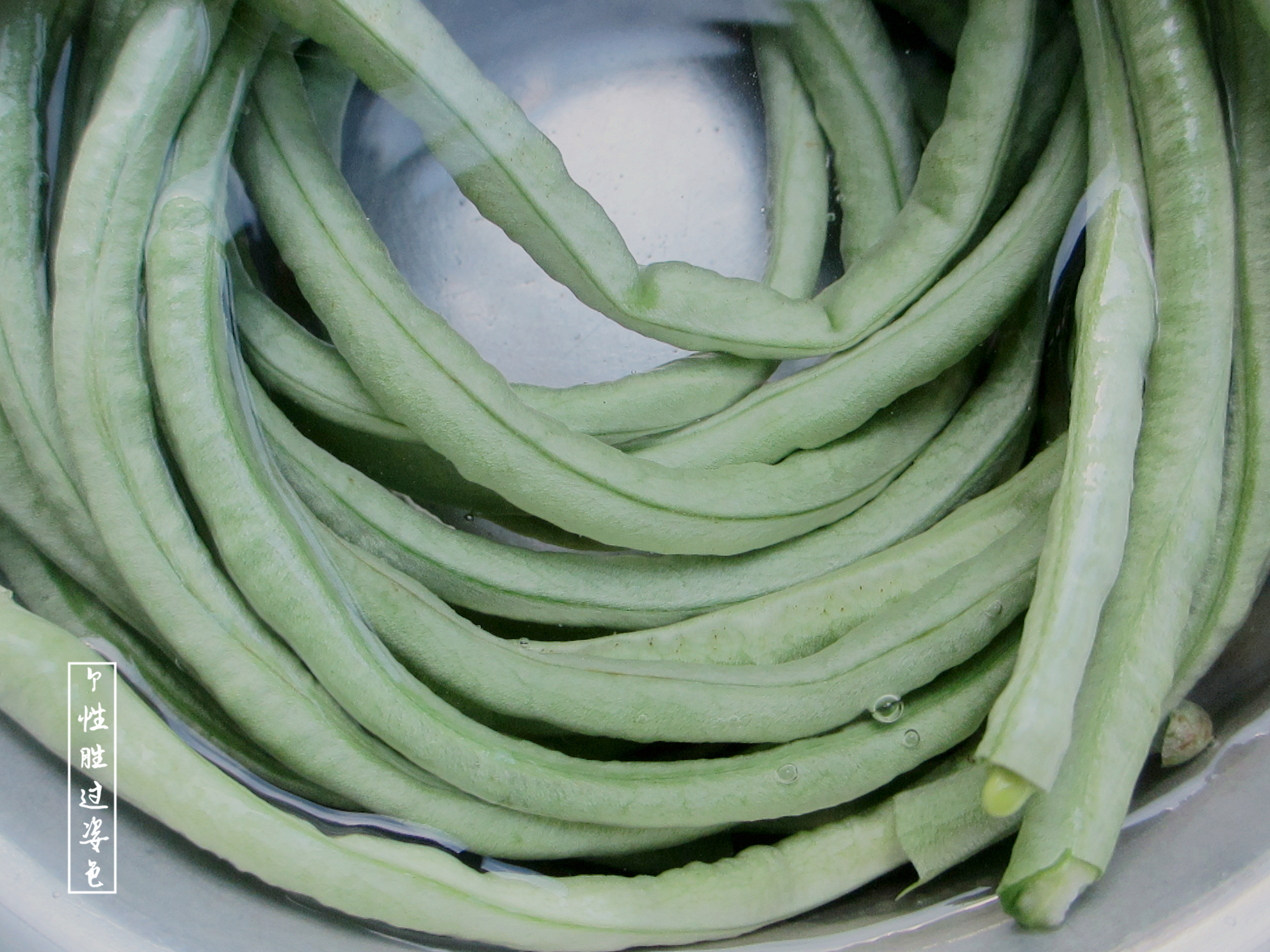 懒人腌豆角的腌制方法大全,腌豆角的家常做法大全集