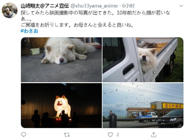 日本网红狗狗去世,日本狗死了