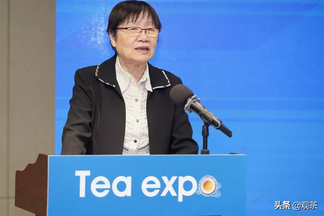 珠海国际茶博会展览会,2020年茶博会珠海开放时间