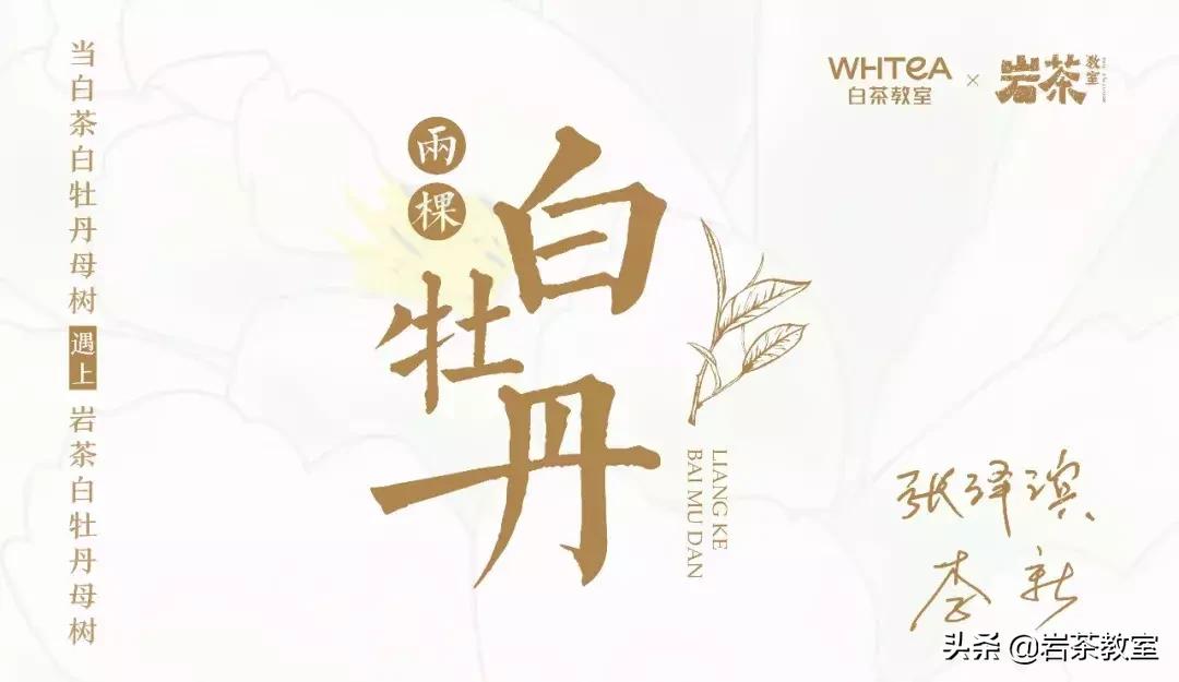 山场主人岩茶,山场主人