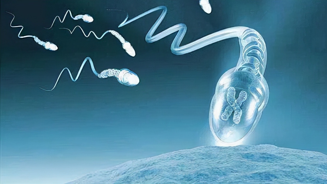 婚检查无精子怎么办,要二胎老公检查没有精子什么原因