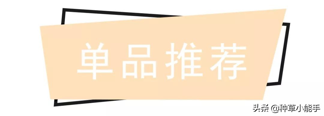 便宜彩妆眼影,腮红100多元