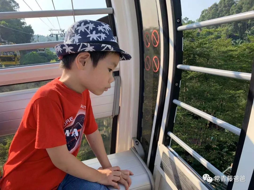 广州长隆攻略两天一夜住哪个酒店,去珠海长隆前一天下午游玩攻略