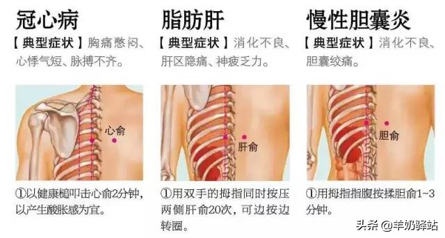 18种常见病特效药,88个特效穴位治疗常见病集锦