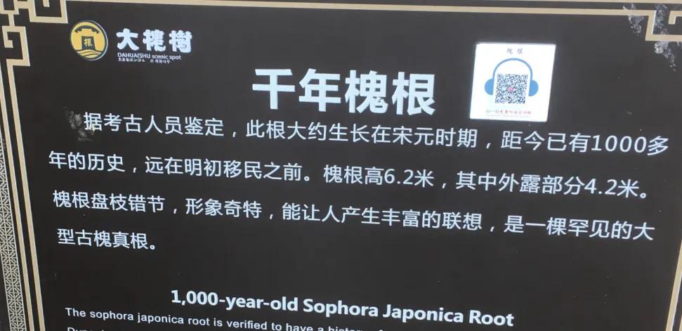 你右脚小拇指指甲盖是爽的吗?