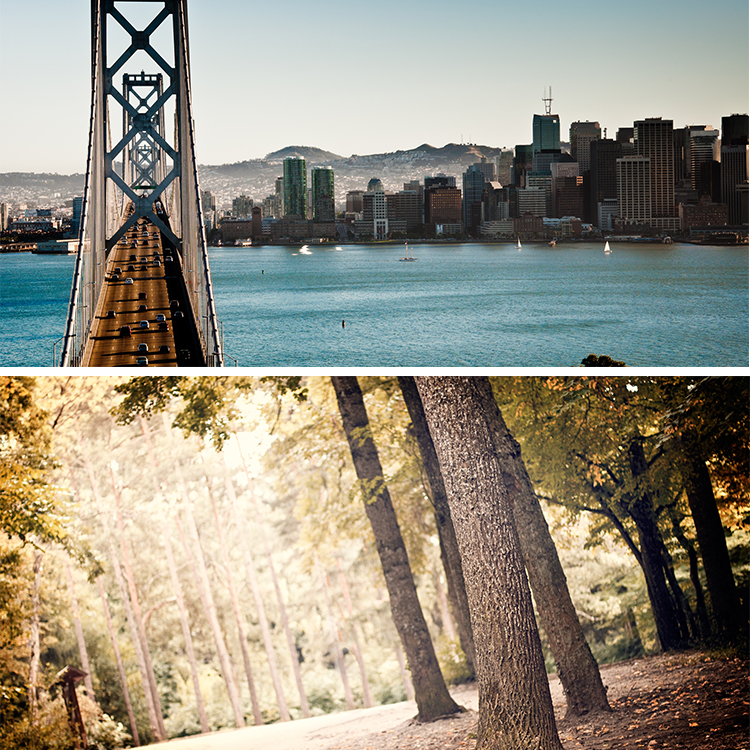 8000张ps底图素材合集,国内免费ps设计图下载