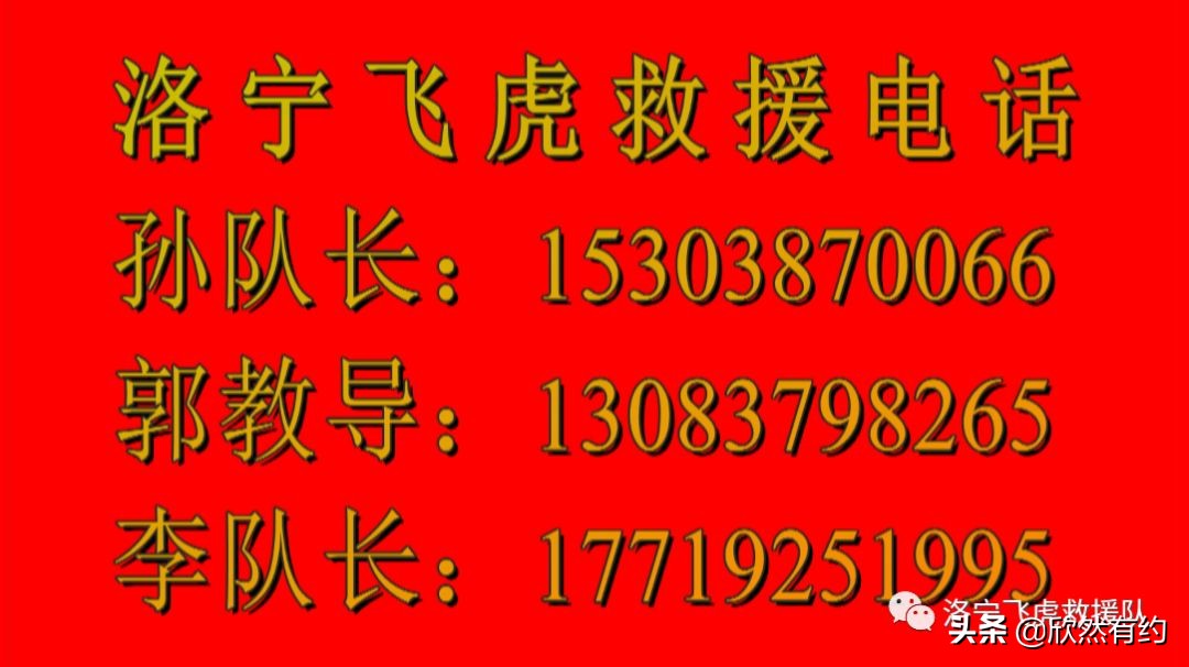 洛宁飞虎救援队视频,洛宁神鹰飞虎救援队