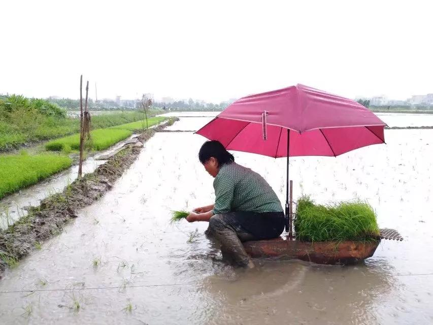 珠海斗门上横古村,珠海斗门古村古镇