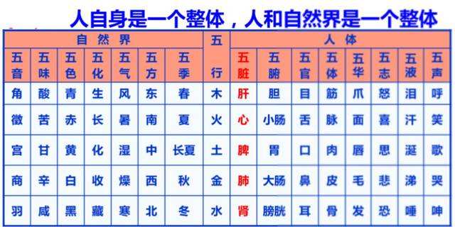 中医五行学说里面心属于什么,中医阴阳五行学说教学视频