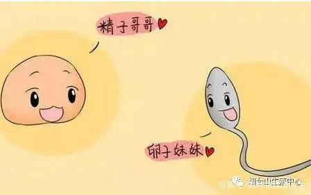 排卵试纸测不出来排卵怎么办,排卵试纸怎么测排卵最准