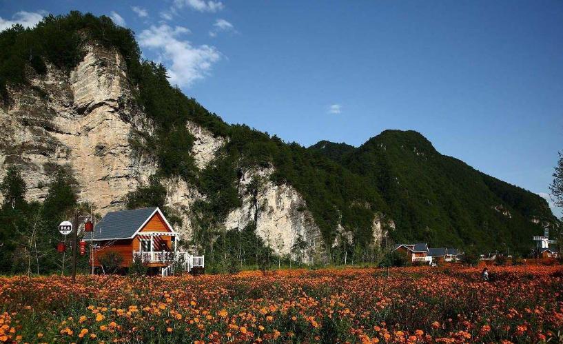 商洛核桃甲天下,商洛核桃之乡介绍