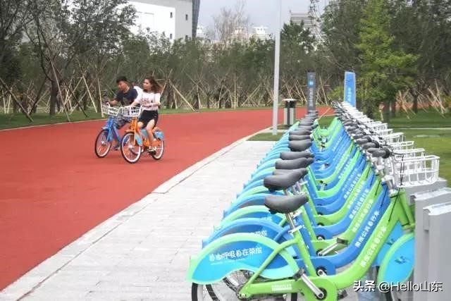 樱花湖在哪里,美丽樱花湖美景