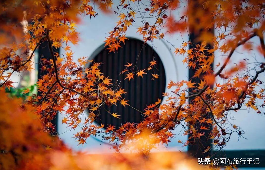 到了大阪先去神户还是奈良,大阪京都奈良神户十日游攻略