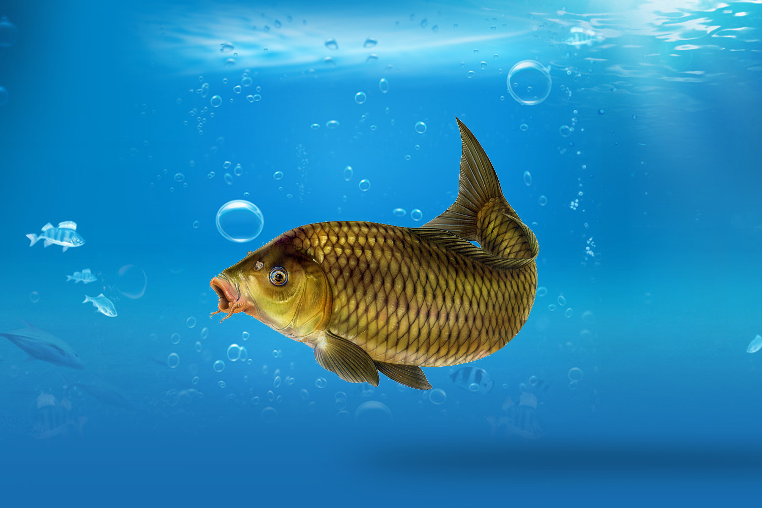 养殖塘铁锈水怎么处理,养殖池塘铁锈水