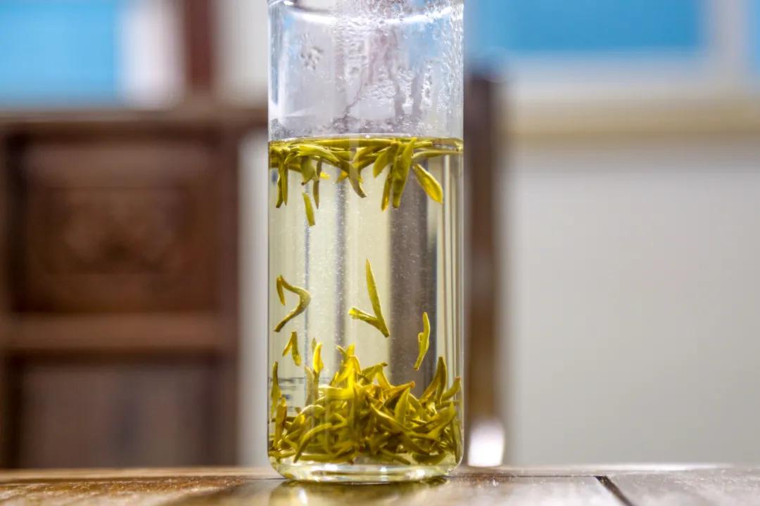 平阳黄茶滋味,平阳黄茶推荐