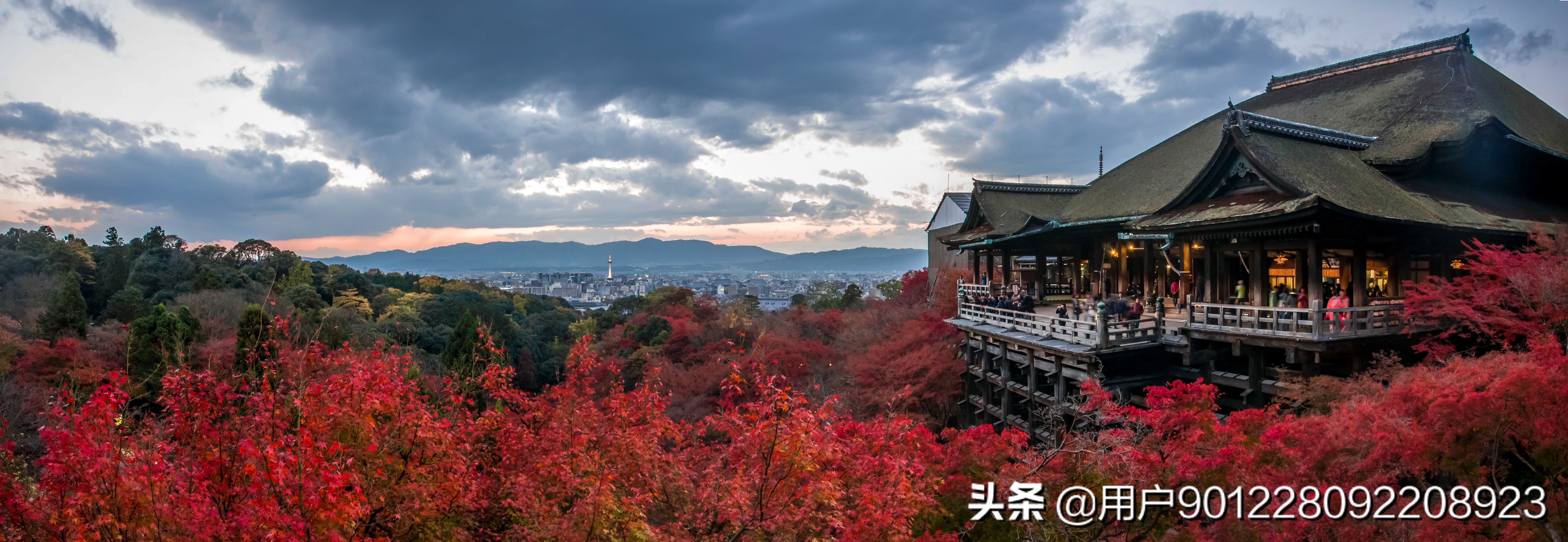 武田信玄全盛时期兵力,武田晴信跟武田信玄什么关系
