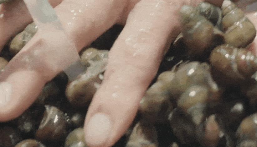 第一季狂刷两遍，终于等来了“板筋西施”，看得我深夜睡不着