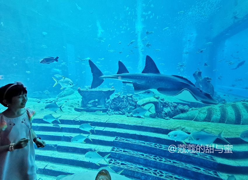 海南三亚游玩攻略亚特兰蒂斯,海南三亚攻略亚特兰蒂斯