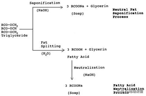 古罗马人为什么用尿刷牙,古罗马用尿液洗衣服