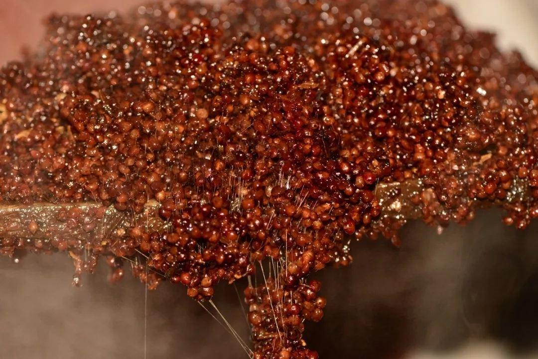 兰陵酒为啥有名,山东兰陵酒有几种