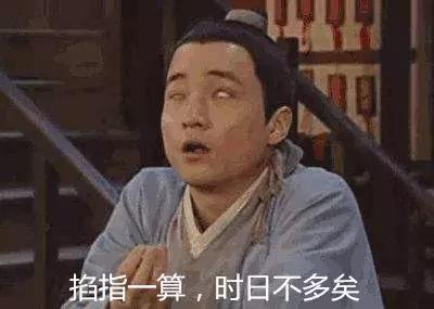 荷兰猪受到惊吓不吃食怎么办,荷兰猪感到不开心的表现