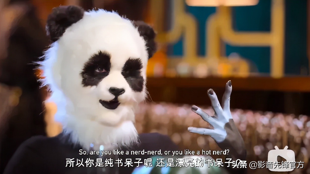 跨种族相亲,跨越种族相亲讲的什么