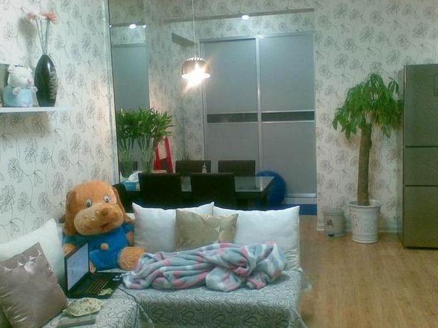 29岁大龄剩女装修35平米,剩女小窝装修效果图