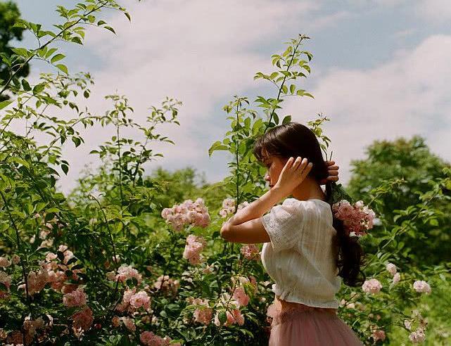 满架蔷薇一院香，开到荼靡花事了