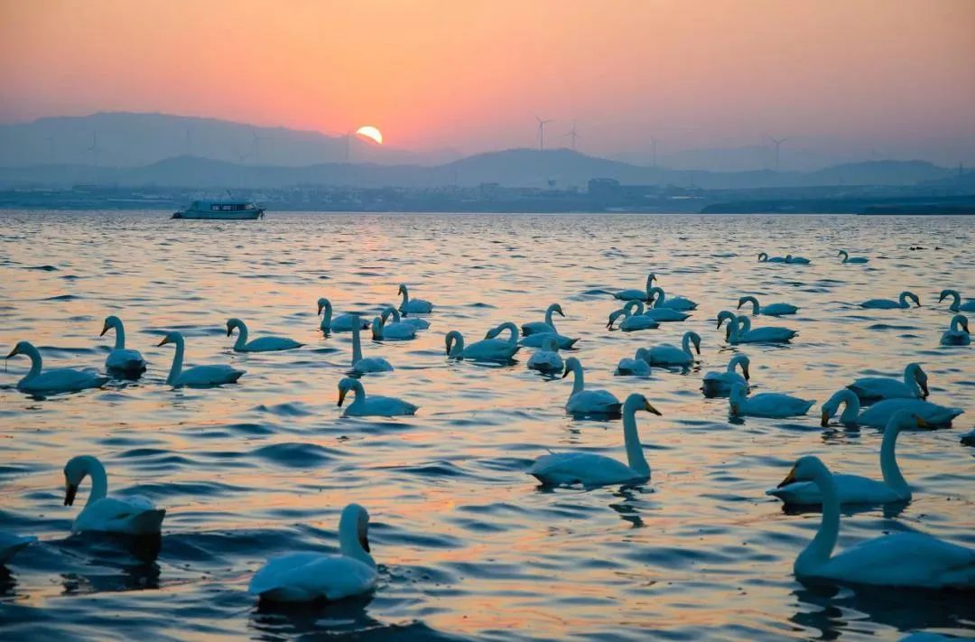 比三亚便宜的海边小城,比三亚便宜的海滨慢城