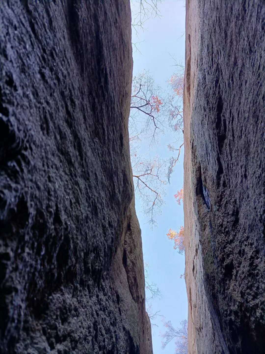 抚顺猴石国家森林公园,辽宁猴石国家森林公园在哪里