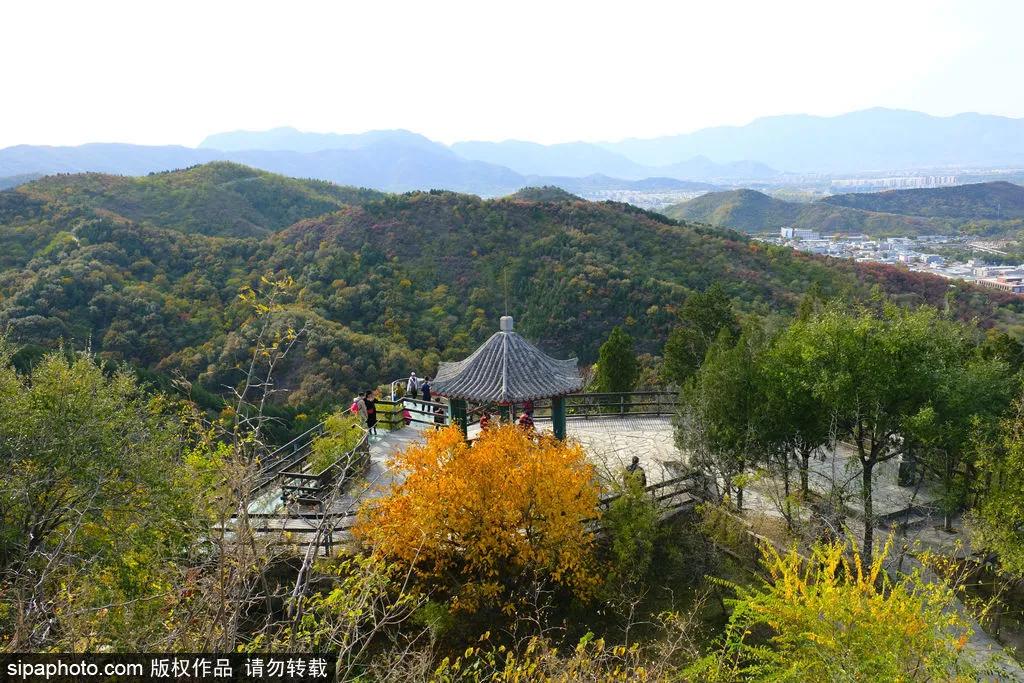 部分免费！北京赏秋“性价比”最高选择都在这儿了！