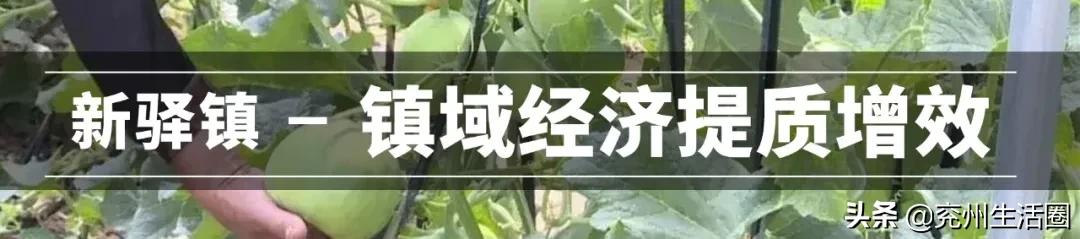 兖州排名第几,兖州最好的镇排名