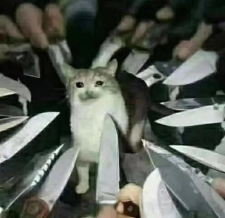 搞笑：黑客：遇到高手了，我刚刚进去就被T出来了