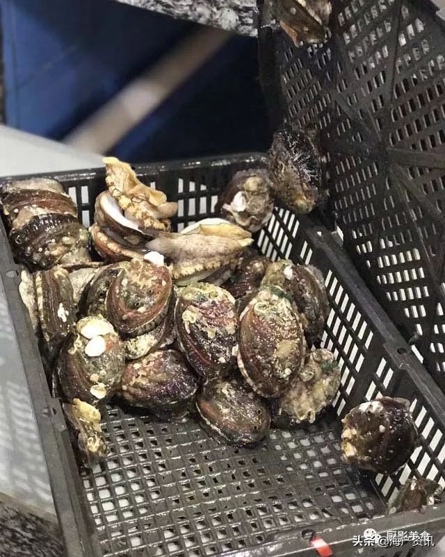 世界十大顶级海鲜品种,全球顶级海鲜食材大赏