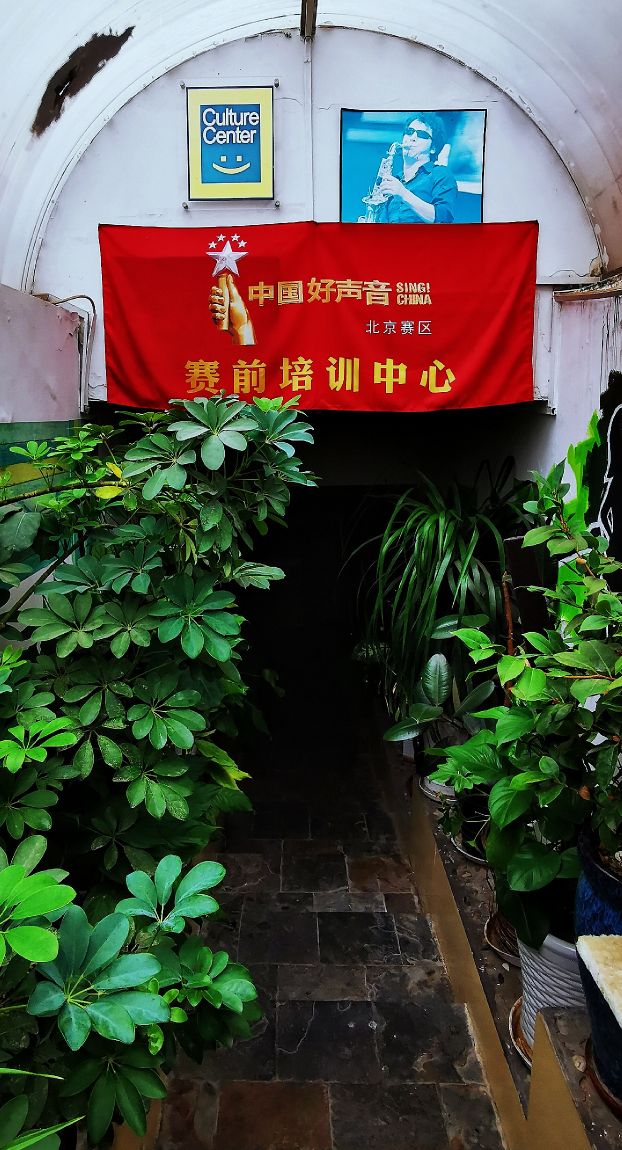 鍖椾含绉樺,鍖椾含绉樺涔嬫梾