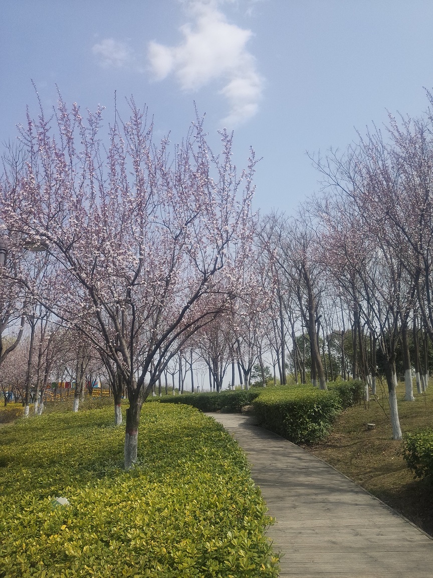 西安浐灞湿地公园内免费游玩推荐,西安浐灞亲子儿童乐园