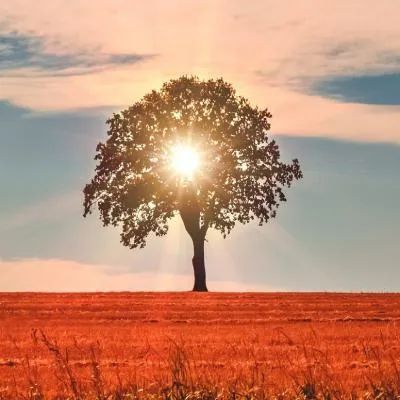 焦虑情绪怎么改正,焦虑症怎么缓解焦虑情绪