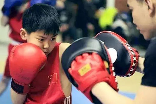少儿学泰拳自由搏击,从小习武的好处