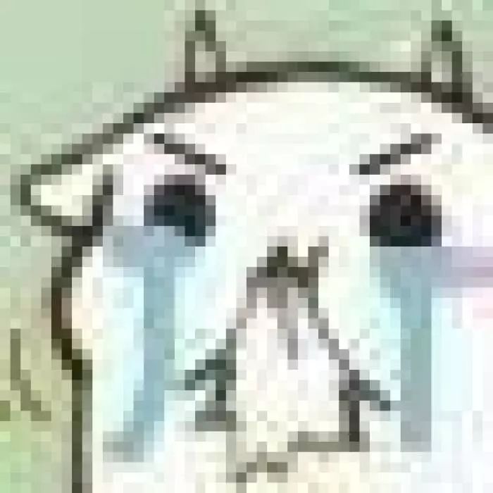 最低只要10块钱！这些网红单品实在是太可怕了！