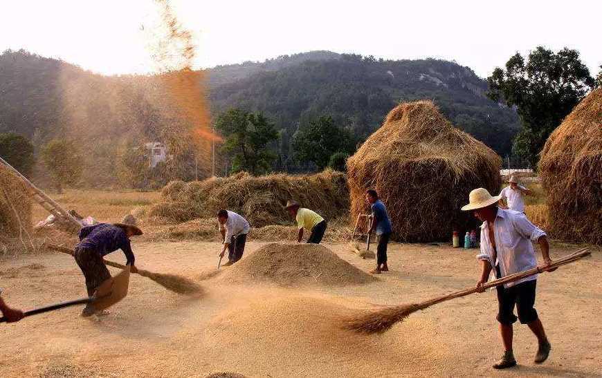 农村一出门就会晒黑怎么办,去乡下晒黑了啥时候能白回来