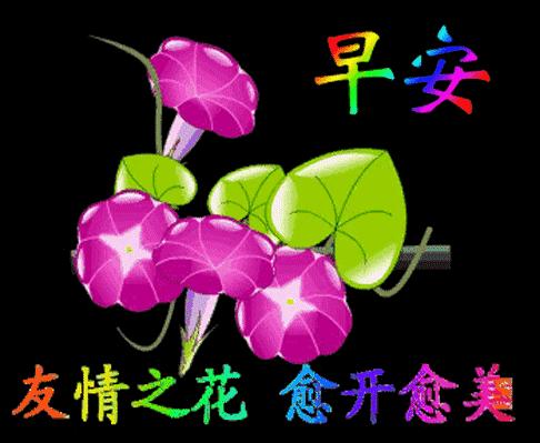 最美早晨问候祝福语图,早晨问候早上好暖心句子图片