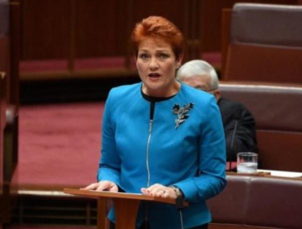 澳洲现在禁止奶粉出口了吗,为什么澳洲奶粉不允许在国内卖