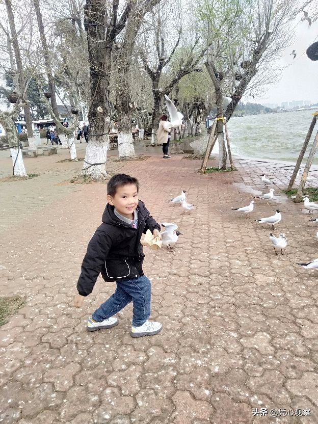 童心飞扬坊,童心飞扬
