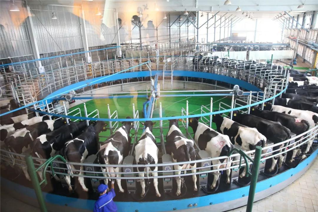 叶檀未来的趋势,叶檀国潮兴起掌握时尚话语权