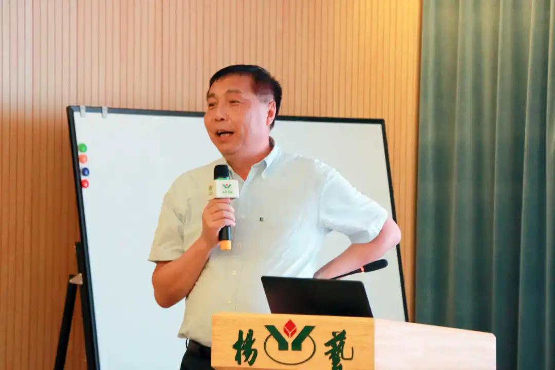 上海杨艺集团,杨艺集团最新公告