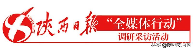 陕西烽火电子股份有限公司,陕西烽火电子股份有限公司现状