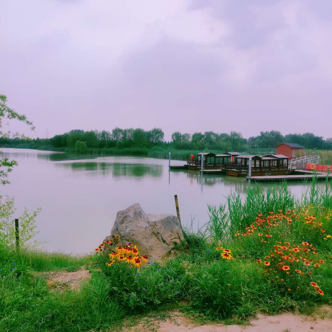 齐鲁大地之淄博（人口分布情况）：张店区79.5万人，临淄64.9万人